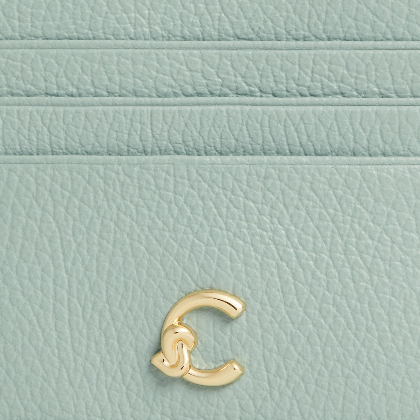 COCCINELLE C-ME