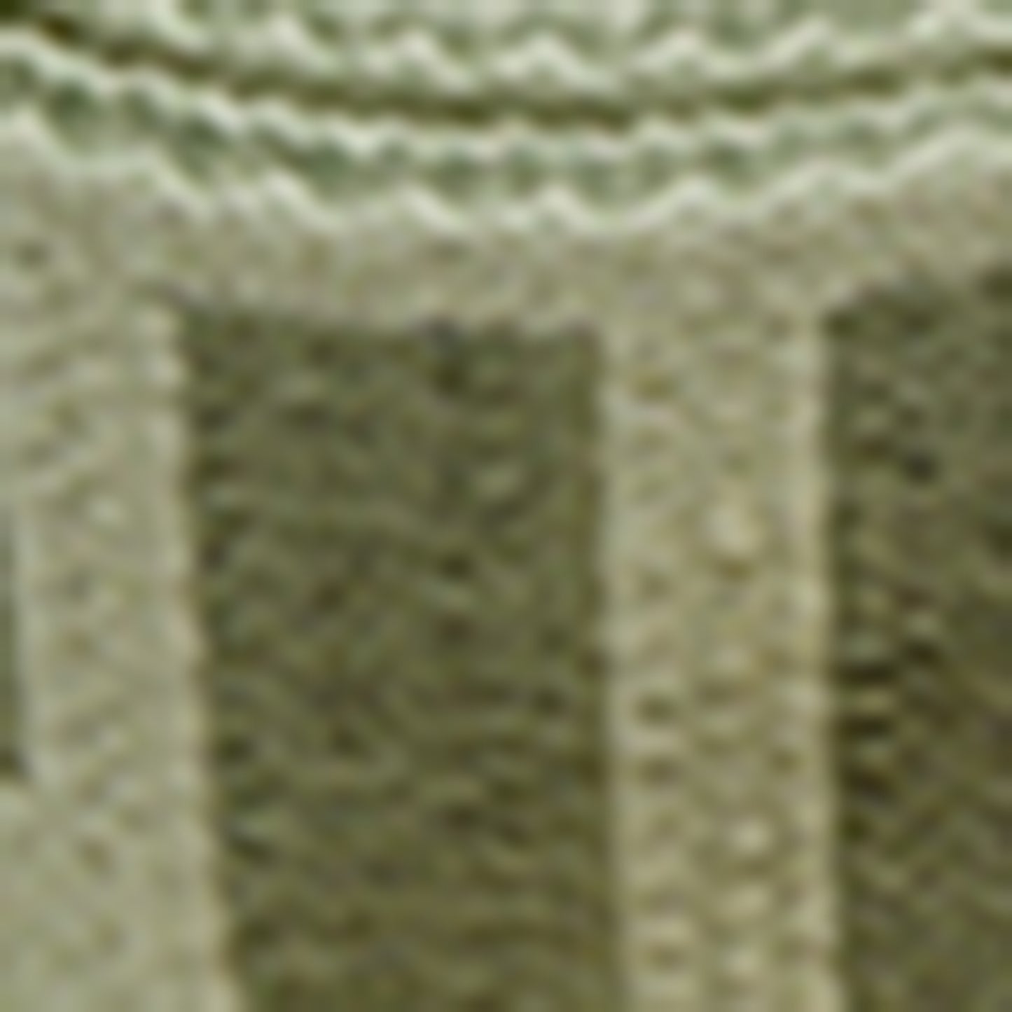 COCCINELLE NASTRO SIGNATURE