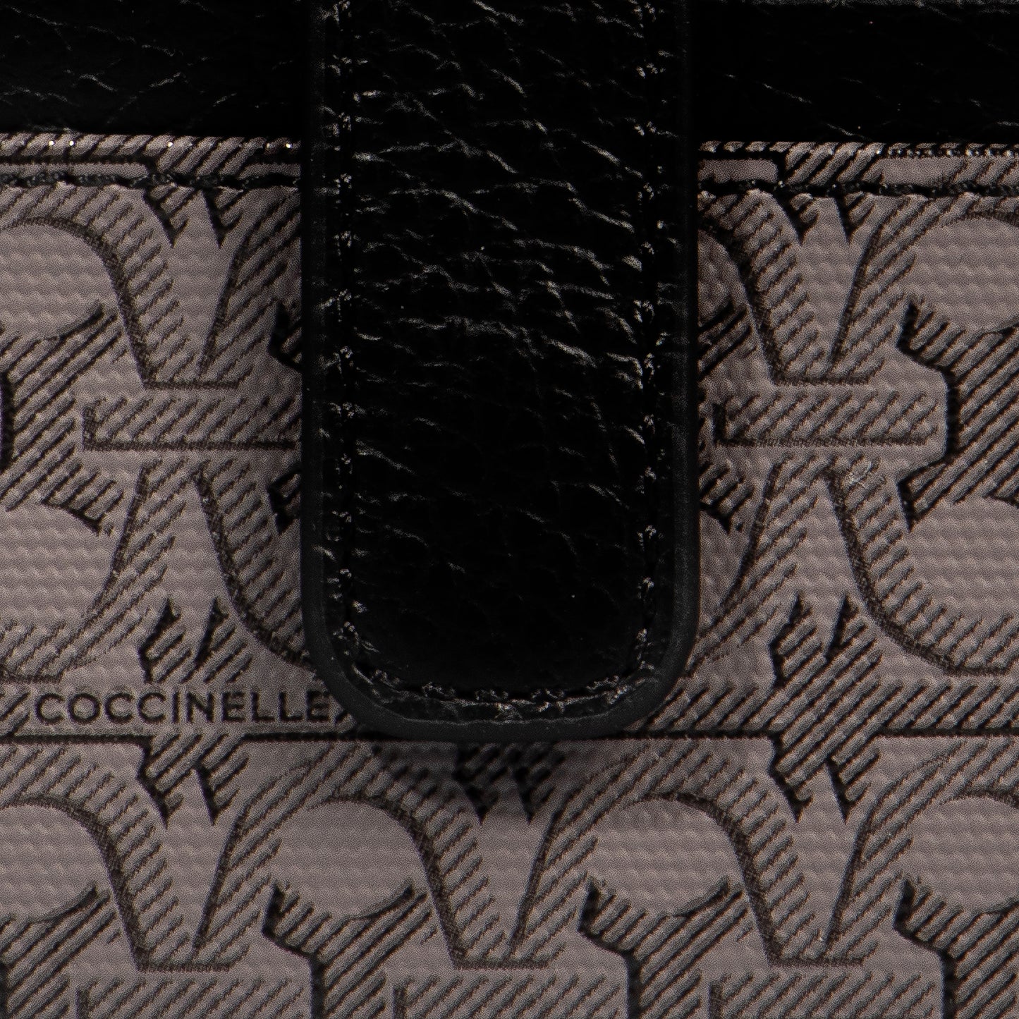 COCCINELLE METALLIC COATED MONOGRAM