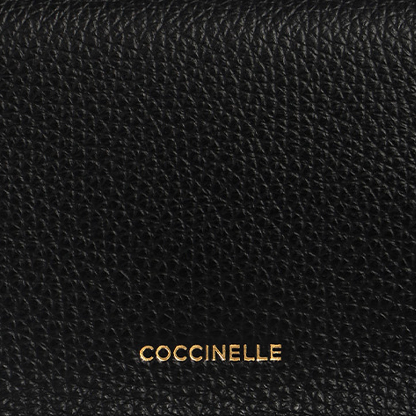 COCCINELLE C-ME