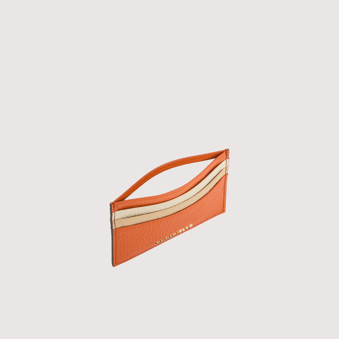 COCCINELLE METALLIC TRICOLOR