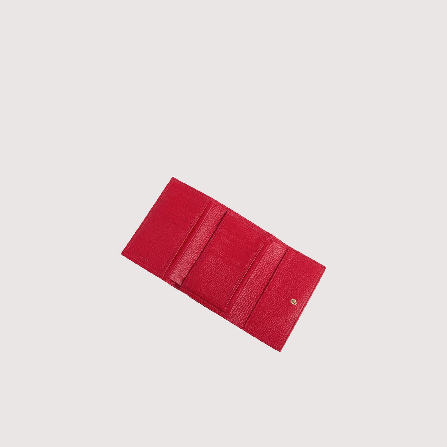 COCCINELLE METALLIC MEDIUM