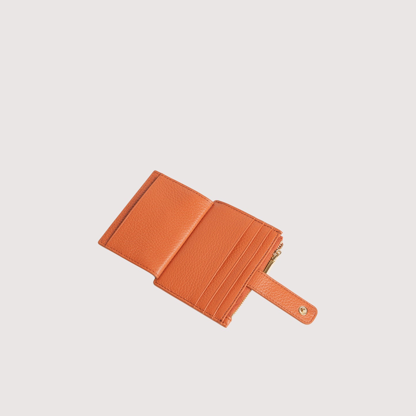 COCCINELLE METALLIC SOFT